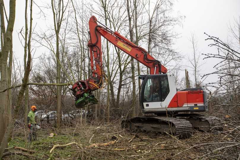 Von Forstwirtschaft, über Landschaftspflege bis hin zur Holzvermarktung erstreckt sich das breite Einsatzspektrum des Familienunternehmens Boers. | Foto: Fleet Complete Von Forstwirtschaft, über Landschaftspflege bis hin zur Holzvermarktung erstreckt sich das breite Einsatzspektrum des Familienunternehmens Boers. | Foto: Fleet Complete