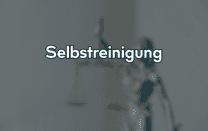 Selbstreinigung Selbstreinigung