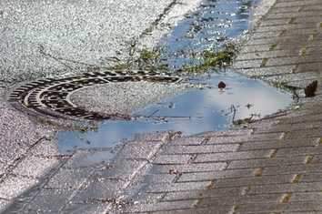 Ressource Regenwasser im Fokus