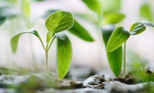 Orientierung für die ökologisch nachhaltige Beschaffung veröffentlicht