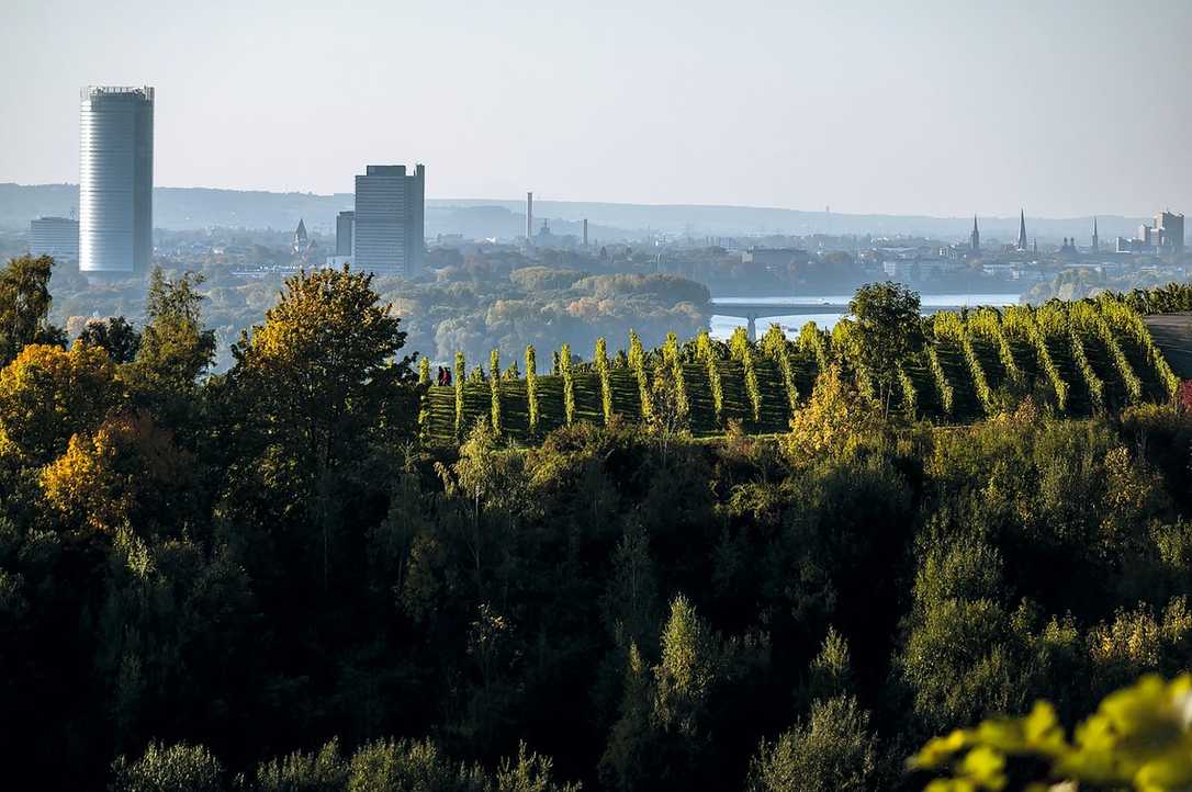 Kanalbau in Hanglagen: Hydrologische Probleme mit Flüssigboden bewältigen? Kanalbau in Hanglagen: Hydrologische Probleme mit Flüssigboden bewältigen?