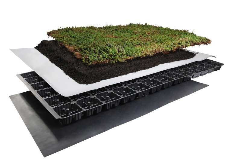 Das „Terra“-System ist eine Variante, die ausschließlich auf Substrat aufbaut. Durch den Einsatz verschiedener Dränagematten und Aufbauhöhen ist es sehr flexibel und passt sich der Vegetation an. | Foto: Richard Brink GmbH & Co. KG Das „Terra“-System ist eine Variante, die ausschließlich auf Substrat aufbaut. Durch den Einsatz verschiedener Dränagematten und Aufbauhöhen ist es sehr flexibel und passt sich der Vegetation an. | Foto: Richard Brink GmbH & Co. KG
