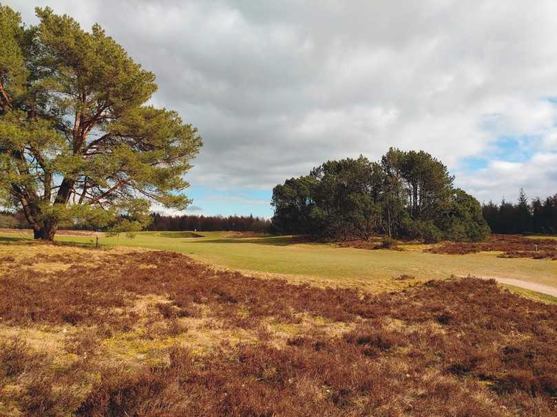 Im GC Lohersand in Schleswig-Holstein wurden bei der Erweiterung der Anlage Heideflächen angelegt. | Foto: Petra Himmel Im GC Lohersand in Schleswig-Holstein wurden bei der Erweiterung der Anlage Heideflächen angelegt. | Foto: Petra Himmel