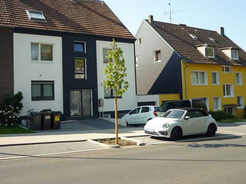 Läuft streusalzbelastetes Wasser in Baumstandorte ein, kann ein Baum dadurch schwere Schäden nehmen und der Standort zu einem Sanierungsfall werden. | Foto: Streckenbach Läuft streusalzbelastetes Wasser in Baumstandorte ein, kann ein Baum dadurch schwere Schäden nehmen und der Standort zu einem Sanierungsfall werden. | Foto: Streckenbach