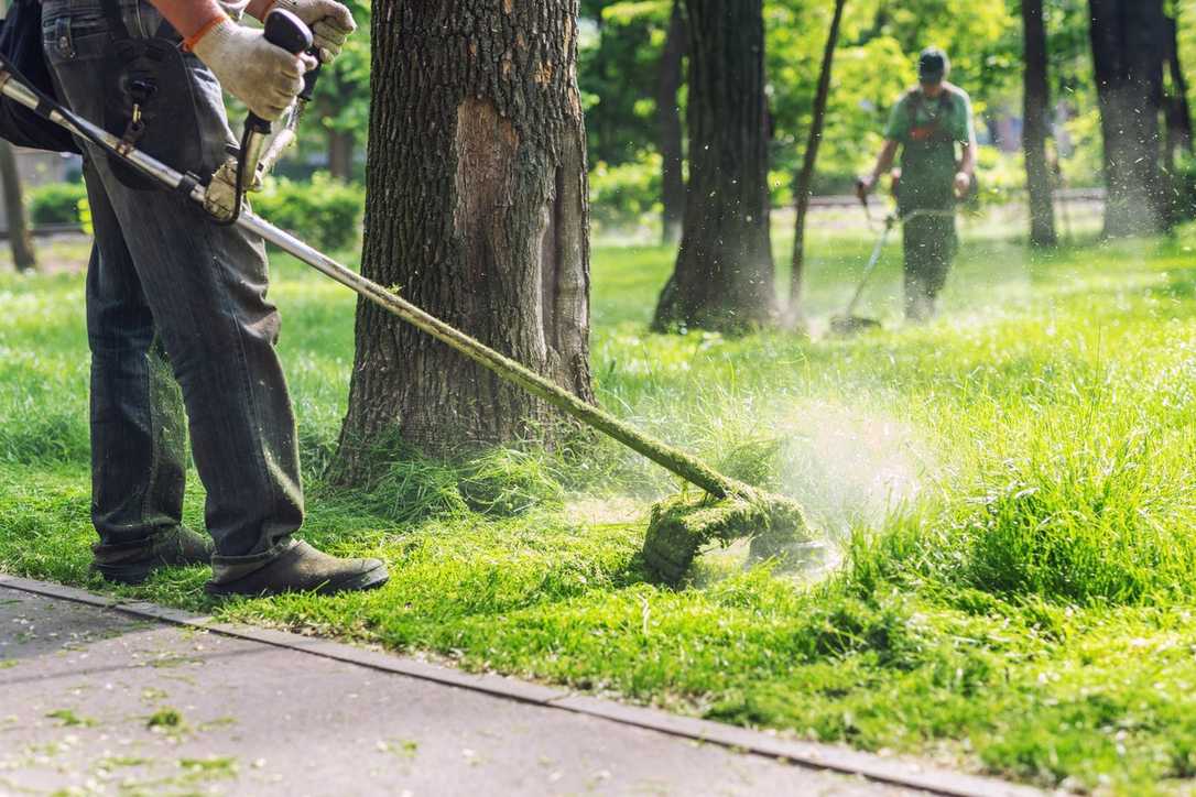 GaLaBau Branchenreport: Zahlen, Trends & Perspektiven
