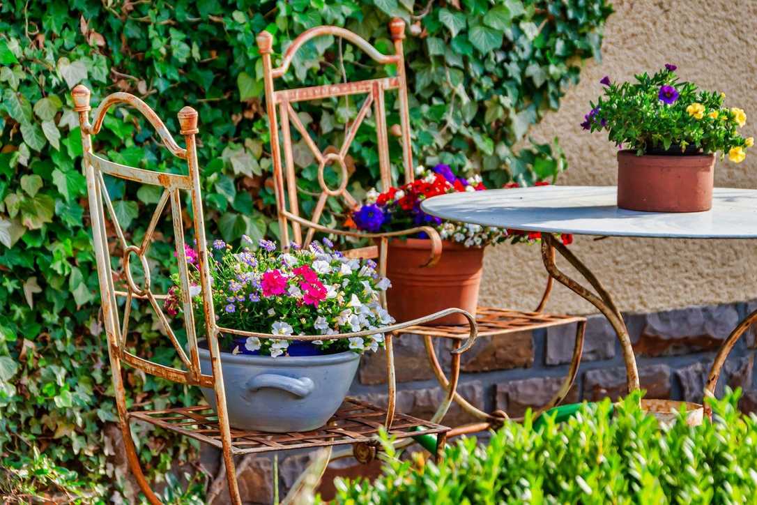 Preiserhöhungen bei Pflanzen und Blumen Preiserhöhungen bei Pflanzen und Blumen
