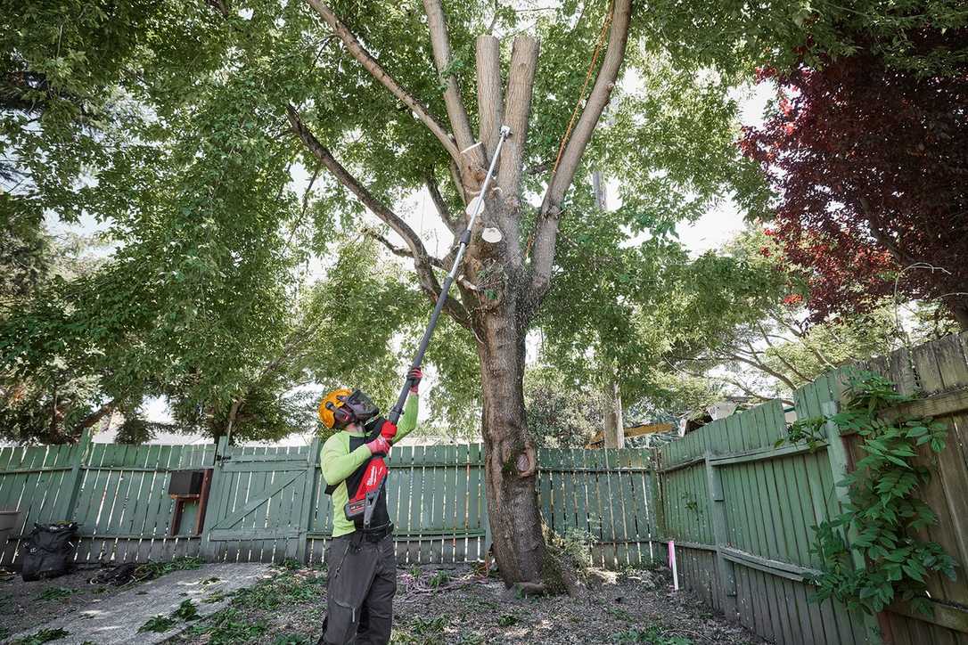 Für Heimwerker und Profis: Akku-Teleskop-Astsäge von Milwaukee Für Heimwerker und Profis: Akku-Teleskop-Astsäge von Milwaukee