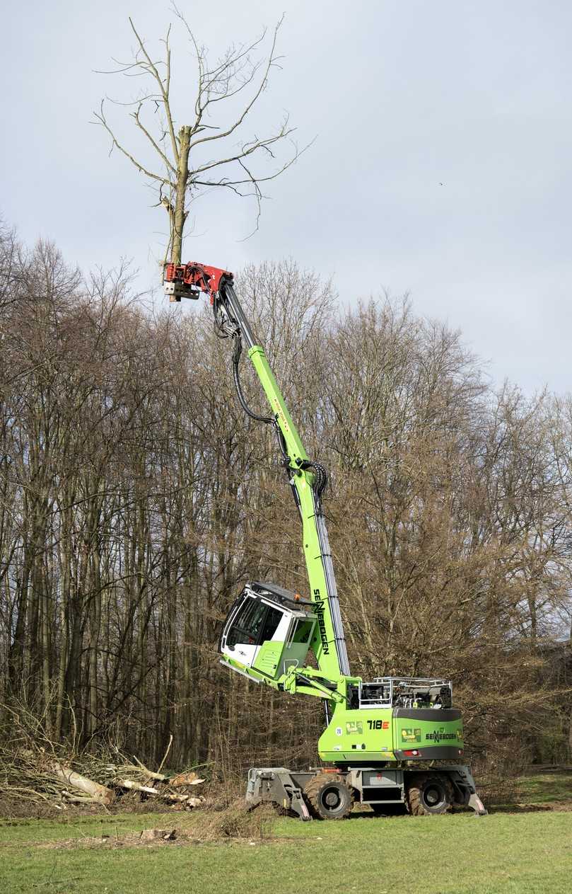 Die Einsatzmöglichkeiten des Fällbaggers decken eine breite Palette ab: Ob Böschungspflege, Freischneiden von Straßen und Forstwegen, Aufarbeitung von Sturmholz und befallenen Hölzern, Problembaumfällung oder Baumpflege. | Foto: SENNEBOGEN Maschinenfabrik GmbH Die Einsatzmöglichkeiten des Fällbaggers decken eine breite Palette ab: Ob Böschungspflege, Freischneiden von Straßen und Forstwegen, Aufarbeitung von Sturmholz und befallenen Hölzern, Problembaumfällung oder Baumpflege. | Foto: SENNEBOGEN Maschinenfabrik GmbH