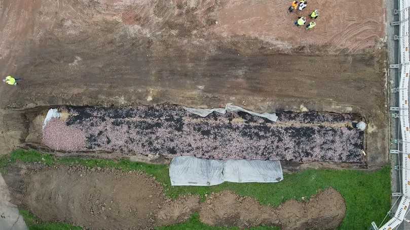Beim Bauvorhaben „Platzgestaltung Nicolaiplatz Magdeburg“ wurden zahlreiche neue Bäume à la „Magdeburger Baumquartier“ gepflanzt, mit Gehbereichen sowie einspurigen Fahrbereichen dazwischen. | Foto: Kriewald 2023 Beim Bauvorhaben „Platzgestaltung Nicolaiplatz Magdeburg“ wurden zahlreiche neue Bäume à la „Magdeburger Baumquartier“ gepflanzt, mit Gehbereichen sowie einspurigen Fahrbereichen dazwischen. | Foto: Kriewald 2023