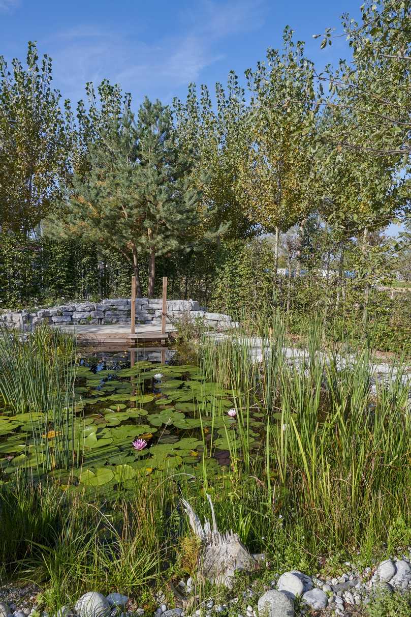 Der „Naturgarten – Ort des Lebens“ vom Fachbetrieb Grüne Aussichten fördert die Artenvielfalt auf eindrucksvolle Art und Weise. | Foto: Carolin Tietz/VGL Bayern Der „Naturgarten – Ort des Lebens“ vom Fachbetrieb Grüne Aussichten fördert die Artenvielfalt auf eindrucksvolle Art und Weise. | Foto: Carolin Tietz/VGL Bayern