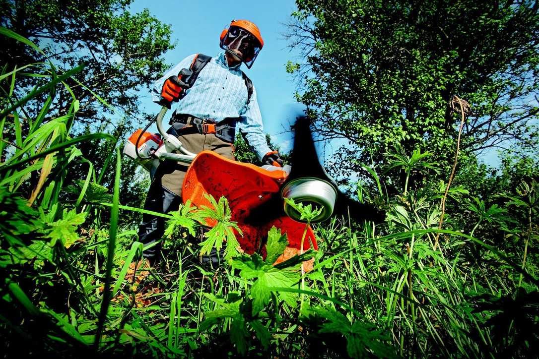Lohn steigt im Garten- und Landschaftsbau Lohn steigt im Garten- und Landschaftsbau