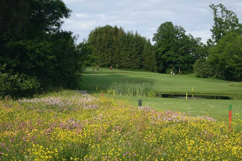 Auf der Golfanlage des GC Isarwinkel im oberbayerischen Bad Tölz gibt es eine große Artenvielfalt. | Foto: Manfred Beer Auf der Golfanlage des GC Isarwinkel im oberbayerischen Bad Tölz gibt es eine große Artenvielfalt. | Foto: Manfred Beer
