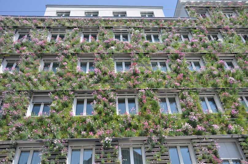 Die sommerliche Verdunstungsleistung der ca. 850 m2 großen Fassadenbegrünung des Magistrats 48 in Wien entspricht einer Kühlleistung von 79 Klimageräten (je 3000 W, 8 Stunden Betrieb). | Foto: Green4Cities GmbH Die sommerliche Verdunstungsleistung der ca. 850 m2 großen Fassadenbegrünung des Magistrats 48 in Wien entspricht einer Kühlleistung von 79 Klimageräten (je 3000 W, 8 Stunden Betrieb). | Foto: Green4Cities GmbH
