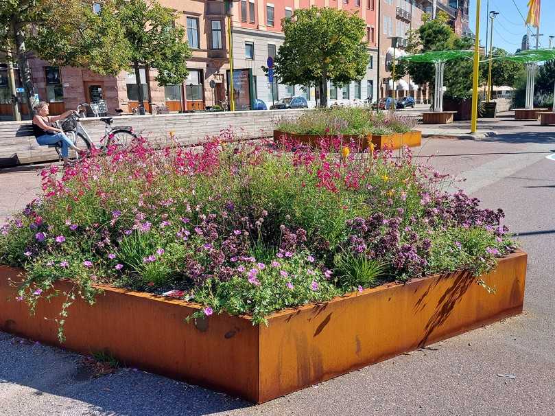 Das „Stockholmer System“ liefert nicht nur wertvolle Vorarbeit in Bezug auf Stadtbäume – sondern auch Blaupausen für alles übrige urbane Grün: vom Magerrasen über Staudenbeete bis hin zu Dach- und Fassadenbegrünungen. Im Bild ein Staudenbeet in Malmö (Schweden), in welchem eine Mischung aus Recycling-Splitt, Pflanzenkohle und Kompost verwendet wurde. | Foto: Carbuna AG Das „Stockholmer System“ liefert nicht nur wertvolle Vorarbeit in Bezug auf Stadtbäume – sondern auch Blaupausen für alles übrige urbane Grün: vom Magerrasen über Staudenbeete bis hin zu Dach- und Fassadenbegrünungen. Im Bild ein Staudenbeet in Malmö (Schweden), in welchem eine Mischung aus Recycling-Splitt, Pflanzenkohle und Kompost verwendet wurde. | Foto: Carbuna AG