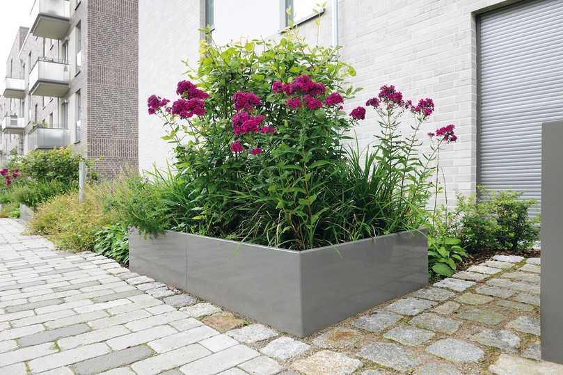 Im Bereich der Hauseingänge fügen sich die maßgefertigten Hochbeete in Quarzgrau mit ihrer durchdachten Bepflanzung ansprechend in die umliegende Architektur ein. | Foto: Richard Brink
Im Bereich der Hauseingänge fügen sich die maßgefertigten Hochbeete in Quarzgrau mit ihrer durchdachten Bepflanzung ansprechend in die umliegende Architektur ein. | Foto: Richard Brink