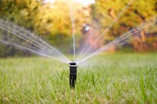 Experten geben Tipps für die Bewässerung im Garten