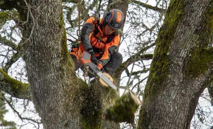 Husqvarna: Neue Akku-Kettensägen für Baumpfleger Husqvarna: Neue Akku-Kettensägen für Baumpfleger