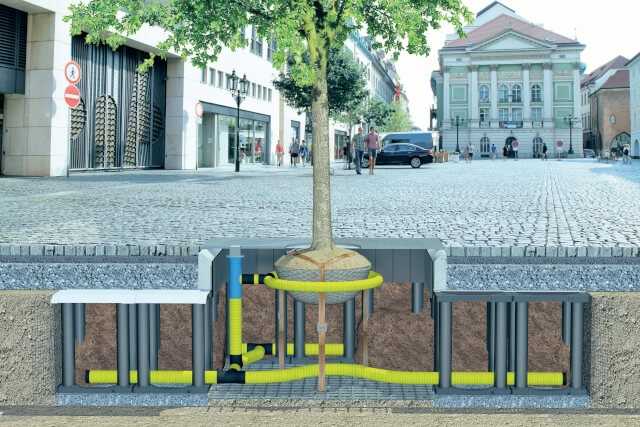 TreeParker – Ein unterirdisches Gerüst für Bäume TreeParker – Ein unterirdisches Gerüst für Bäume