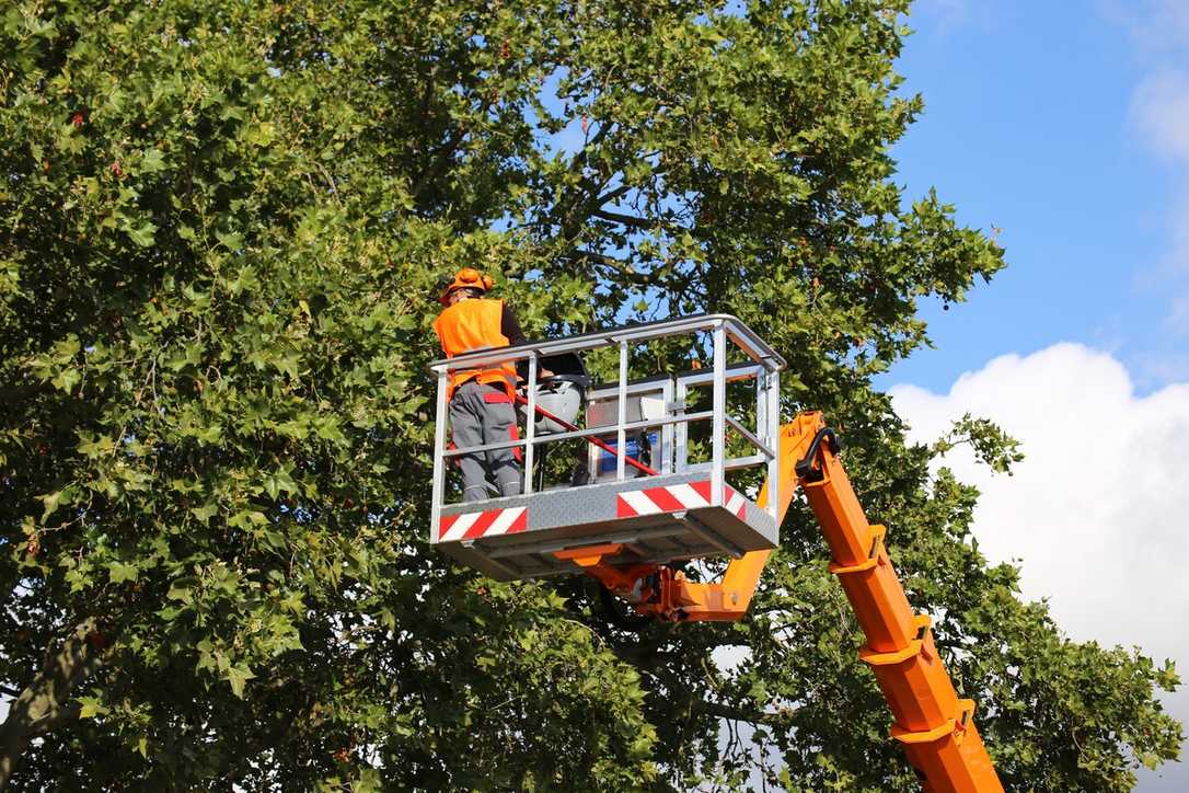 Sicher Arbeiten mit Hubarbeitsbühnen: Was rät die DEULA? Sicher Arbeiten mit Hubarbeitsbühnen: Was rät die DEULA?