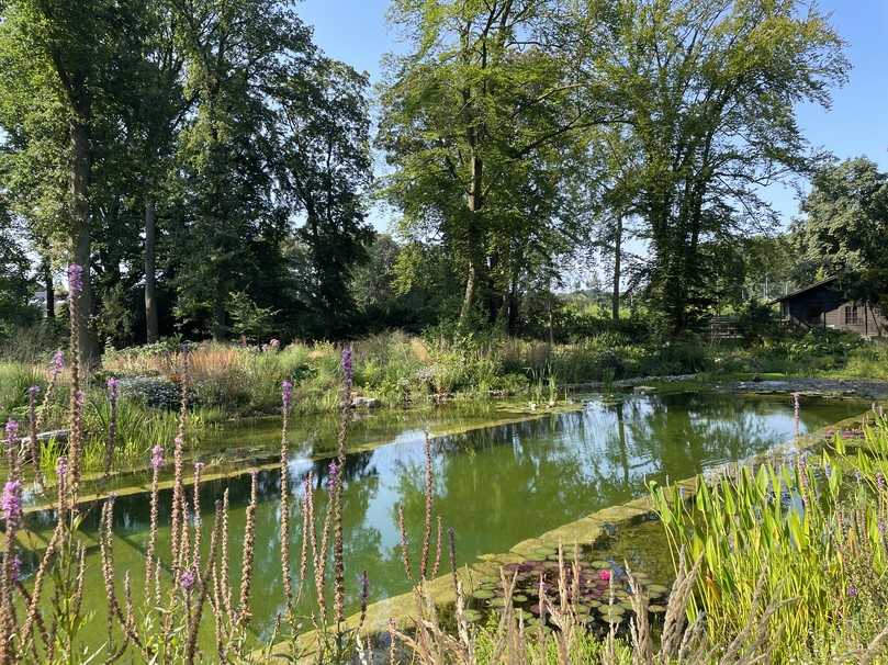 Den 2. Platz Umbauten & Sanierung belegt Klute Garten- und Landschaftsbau. | Foto: Klute