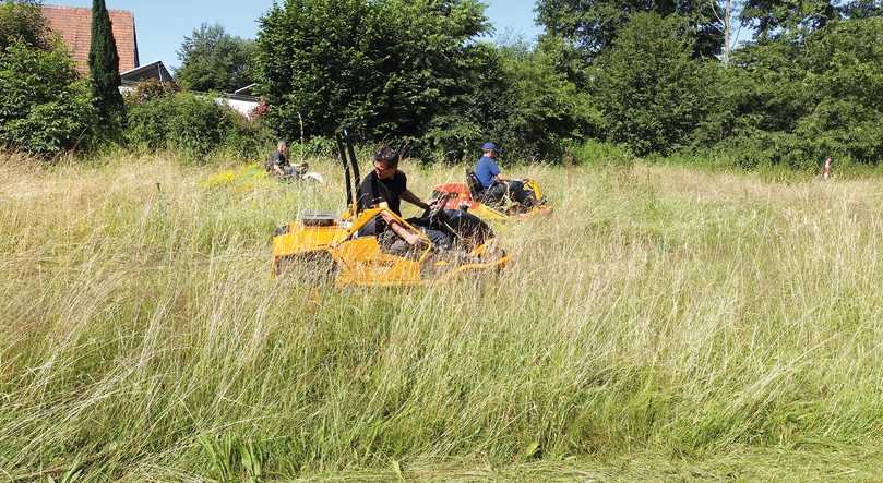 Dynamisch durchs hohe Gras: Alle drei Modelle meisterten den Test-Parcours mit Bravour. | Foto: E. & S. Bauer Dynamisch durchs hohe Gras: Alle drei Modelle meisterten den Test-Parcours mit Bravour. | Foto: E. & S. Bauer