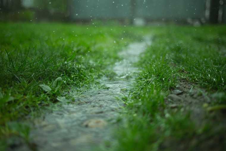 Regenwassermanagement im Garten- und Landschaftsbau Regenwassermanagement im Garten- und Landschaftsbau