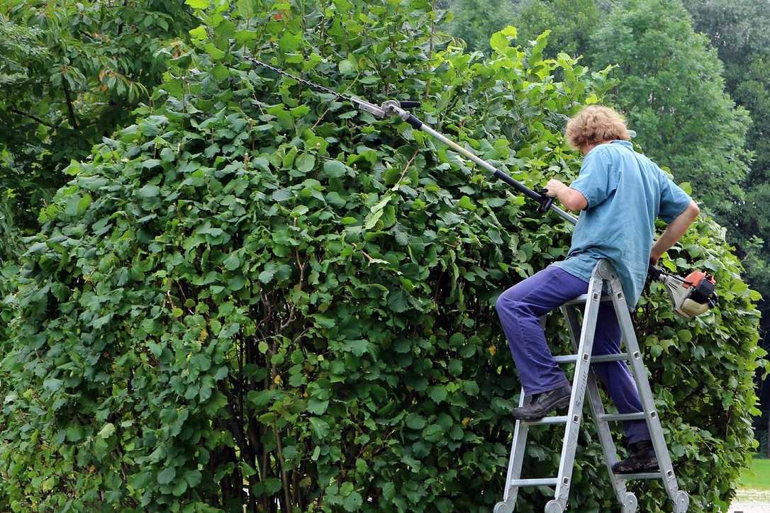 BGL-Konjunkturumfrage Herbst 2021: Starke Auslastung und Optimismus im GaLaBau BGL-Konjunkturumfrage Herbst 2021: Starke Auslastung und Optimismus im GaLaBau