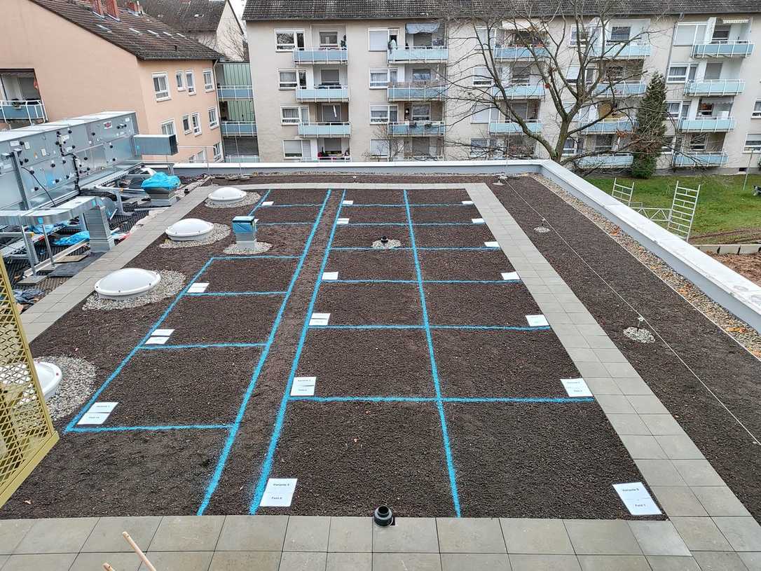 Das erste Klimadach in Hessen wurde mit Klimafarmer erstellt Das erste Klimadach in Hessen wurde mit Klimafarmer erstellt
