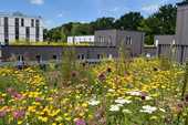 Schutz gegen Hitze und Überflutungen