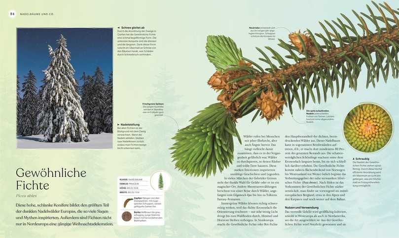Übersichtliche Illustrationen vermitteln eine Fülle an Informationen. | Foto: Dorling Kindersley Verlag GmbH Übersichtliche Illustrationen vermitteln eine Fülle an Informationen. | Foto: Dorling Kindersley Verlag GmbH