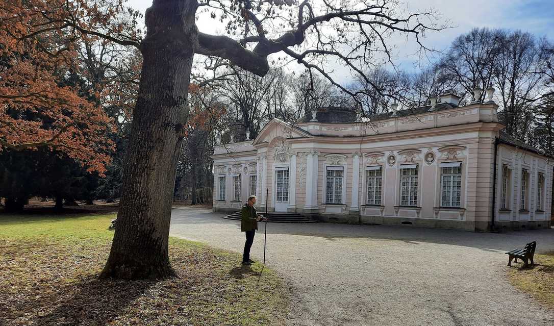 Satellitentechnik erleichtert Baum-Managern die Arbeit Satellitentechnik erleichtert Baum-Managern die Arbeit