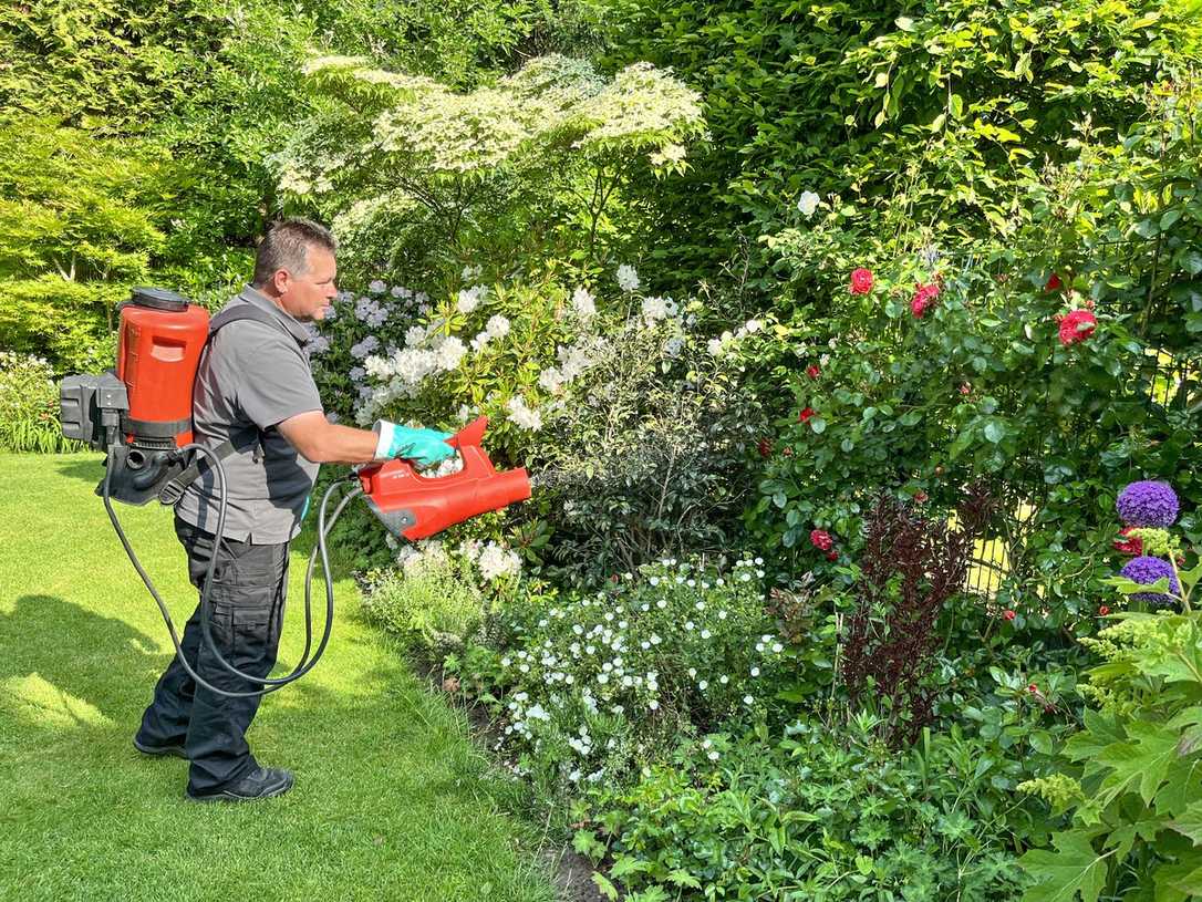 Profi setzt bei Gartenpflege auf wenig Chemie und ein Akku-Sprühgebläse von Birchmeier Profi setzt bei Gartenpflege auf wenig Chemie und ein Akku-Sprühgebläse von Birchmeier