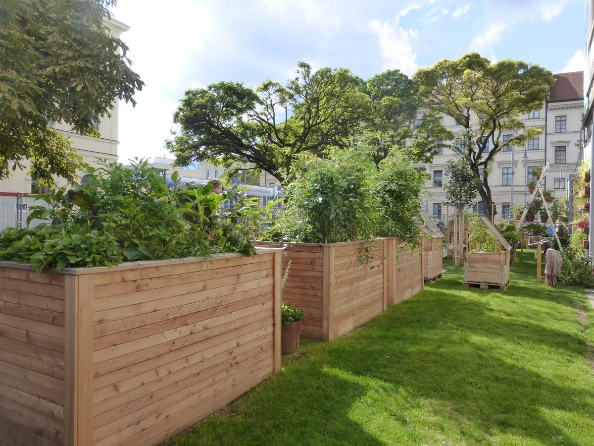 Urban Gardening – ein Garten als Beispiel. | Foto: LWG Urban Gardening – ein Garten als Beispiel. | Foto: LWG