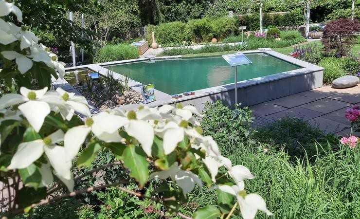 Schauanlage zeigt smarte Naturpool-Lösung Schauanlage zeigt smarte Naturpool-Lösung