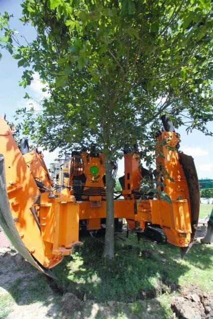 Hydraulisch unterstützt, geht das Einsetzen des Großbaumes ohne Kraftanstrengung vor sich. Hydraulisch unterstützt, geht das Einsetzen des Großbaumes ohne Kraftanstrengung vor sich.